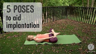 5 Poses to aid implantation [upl. by Breed]