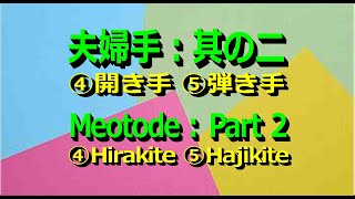 7th：Defense techniques of Shoteigiho part2 ④Hirakite ⑤Hajikite掌底技法防御技其の二｢④開き手 ⑤弾き手｣ [upl. by Yoreel305]