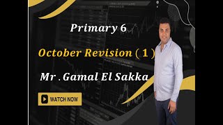 Primary 6 October Revision Part  1 [upl. by Maise394]