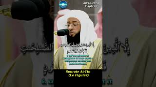 Sourate AtTin Le figuier [upl. by Ronym]