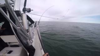 Lake Erie Lake Trout Trolling  Vision Quest [upl. by Cappello]