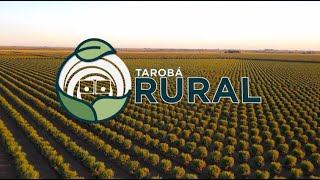 TAROBA RURAL 13 08 [upl. by Are]