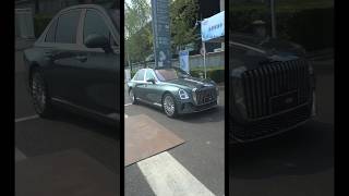 Hongqi L1 exterior and interior dynamic video [upl. by Nanyt133]