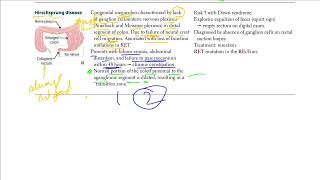 Hirschsprung Disease  USMLE STEP 1 [upl. by Urbanus]