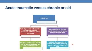 2023 icd 10cm coding guidelines for chapter 13 [upl. by Akialam]