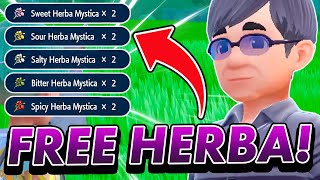 How to get GIFT HERBA MYSTICA in The Teal Mask Pokemon Scarlet and Violet DLC [upl. by Kostival]