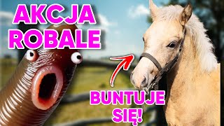 MILA SIĘ BUNTUJE AKCJA ROBALE  VLOG HORSE ON BOARD [upl. by Eiznekam]