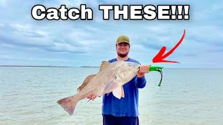 Fishing for BLACK DRUM at the TEXAS CITY DIKE How to [upl. by Ardnama]