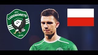 Jakub Swierczok ● Polish Goal Machine ● 201920 HD [upl. by Admana]