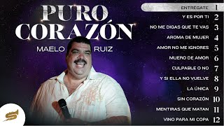 Puro Corazón Maelo Ruiz  Salsa Power [upl. by Tulley]