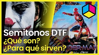 🌗 DTF  ¿Qué son los Semitonos DTF ¿Para qué se usan [upl. by Marilla586]