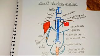 Sites of portosystemic anastomosis Easy way to draw sketch of Portosystemic anastomosismbbs sketch [upl. by Narok]