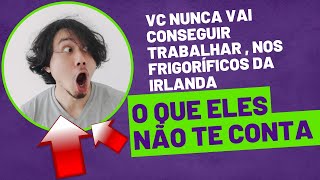 Voce nunca vai conseguir trabalhar nos frigoríficos da irlanda [upl. by Herrod]