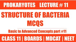 STRUCTURE OF BACTERIA MCQS  LECTURE 10  CHAP PROKARYOTES  CLASS 11NMDCAT NEET [upl. by Card]