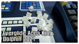 Dolphin 2021 Everglide Aqua King sandwich mount  돌고래 2021 아쿠아킹 샌드위치 결합 [upl. by Ree]