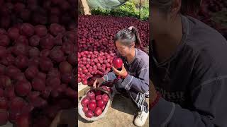 Viral girl trending apple fruitfruitcuttingThakornaynafrood Part 100 [upl. by Gnilrets441]