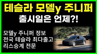 테슬라 모델y 주니퍼 루머 총정리  출시일 가격  배터리팩  사업자 법인 렌트리스  테슬라 출고 [upl. by Winonah]