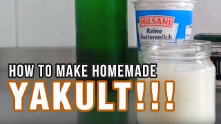 How To Make Your Own Yakult Homemade Yakult Easy Steps [upl. by Halliday]