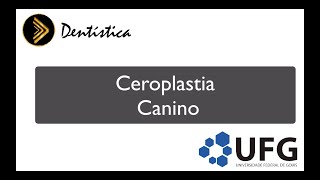 Ceroplastia Canino Superior [upl. by Pinchas]