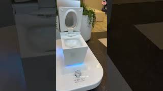 Worlds most expensive toilet [upl. by Alburg]