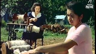 The making of Cowichan Sweaters by Ameila Charlie a Newsreel from 1958 [upl. by Lladnik]