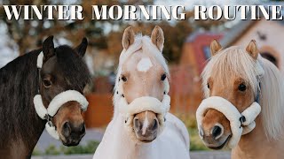 WINTER MORNING ROUTINE WITH 3 PONIES [upl. by Ynatirb]