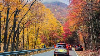 Fall colors in Blue ridge mountain drive [upl. by Gold554]