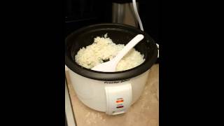 Proctor Silex 8 Cup Rice Cooker Review [upl. by Vargas837]