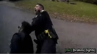 Blundering police officer accidentally Tasers his partner during arrest [upl. by Ender]