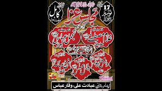 LIVE MAJLIS AZA 17 NOV 2024 KAHIL TAHSEL JAND [upl. by Justin]