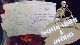 Introduction to Skeletal System amp Cartilage شرح بالعربى [upl. by Anaeda]