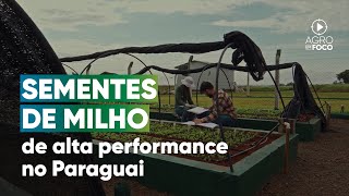 Agrotec Tratamento de Sementes Industrial no Paraguai  Programa 92  Agro Em Foco [upl. by Gauntlett995]