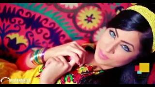 Arezo Nikbin Hala Yar NICE AFGHAN SONG [upl. by Beisel]