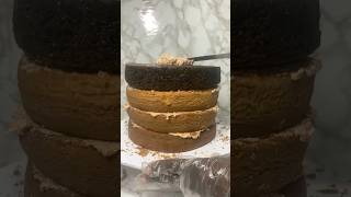 Why you struggle with your fondant cake finish [upl. by Akere]