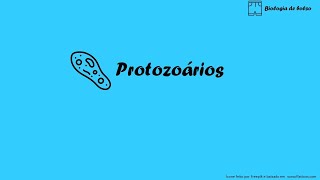 Protozoários [upl. by Eahcim]