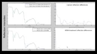 Classification of cancer tissue samples using hyperspectral imaging [upl. by Walkling]