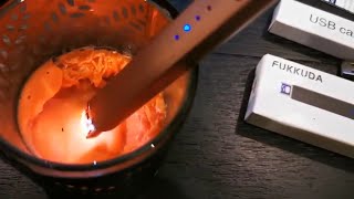 Fukkuda Electric Candle Lighter Review  Plasma Arc Lighters Windproof amp Flameless [upl. by Leinad]