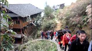 CHINA Guǎngxī  Lóng​shèng​ Rice Terraces 龙胜梯田 [upl. by Wardieu302]