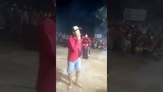 Banteng Mengamuk‼️‼️‼️ jaranan Turonggo Sri Joyo Buntoro [upl. by Yllom]