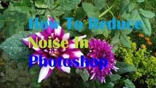 How To Reduce Noise In Photoshop 7 [upl. by Sackey676]