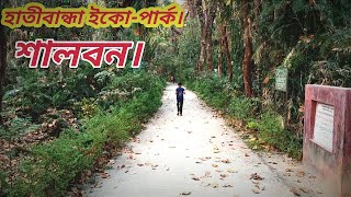 কি হচ্ছে হাতীবান্ধা শালবনের গহীনে Shalbon Hatibandha Lalmonirhat [upl. by Atirys]