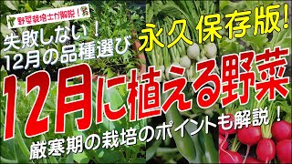 12月に植える野菜（厳寒期の野菜栽培を成功させるコツも解説！）永久保存版 [upl. by Lowrance933]