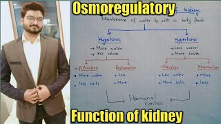 Osmoregulatory function of kidney in urdu  Hypotonic  Hypertonic  class 10  Ch 11 [upl. by Akena]