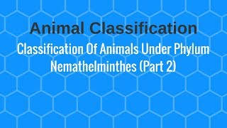 Classification Of Animals Under Phylum Nemathelminthes Part 2 [upl. by Riegel]