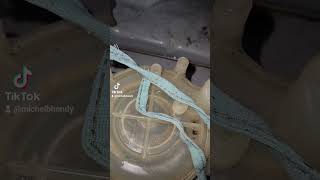 Amana dryer  belt replace appliancerepair [upl. by Amer]