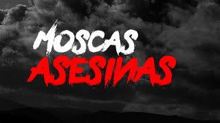 Moscas Asesinas [upl. by Nyrtak]