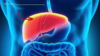 Liver Function Tests Explained  Results Explained eg ALT AST Etc [upl. by Hughett815]