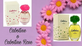 Cabotine o Cabotine Rose [upl. by Edyaj308]