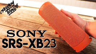 Sony SRSXB23 REVIEW amp SOUND TEST comparison with JBL Flip 5 [upl. by Ydrah]