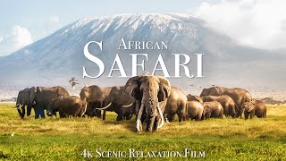 African Safari 4K  Scenic Wildlife Film With African Music [upl. by Htrow]